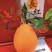 【实力推荐】长虹脐橙🍊产地直发品质保障量大从优可视频