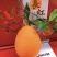 长虹脐橙🍊湖北精品货源充足价格美丽可对接全国各地老板