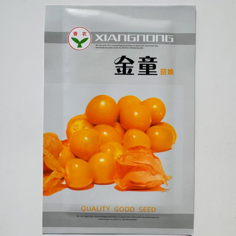 金童甜姑娘种子浆果黄菇娘种子皮薄肉厚甜度高四季播蔬菜水果