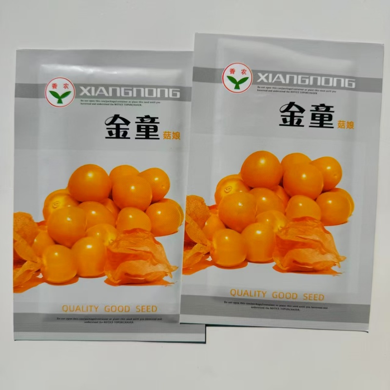 金童甜姑娘种子浆果黄菇娘种子皮薄肉厚甜度高四季播蔬菜水果