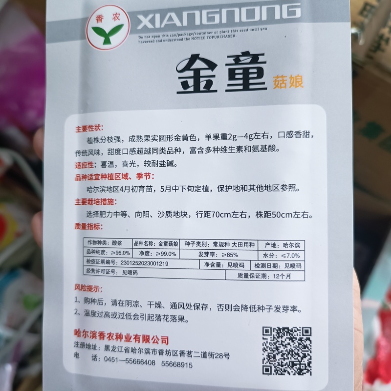 金童甜姑娘种子浆果黄菇娘种子皮薄肉厚甜度高四季播蔬菜水果