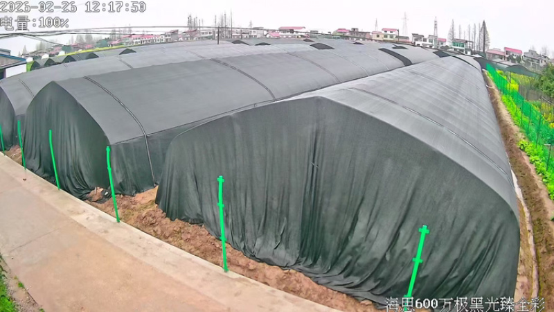 羊肚菌品质保证服务周到产地直发价格美丽欢迎联系