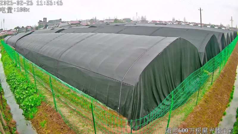 羊肚菌品质保证服务周到产地直发价格美丽欢迎联系