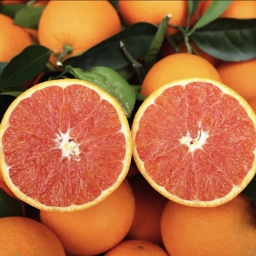 中华红血橙脐橙橙子🍊产地直发量大从优可对接全国