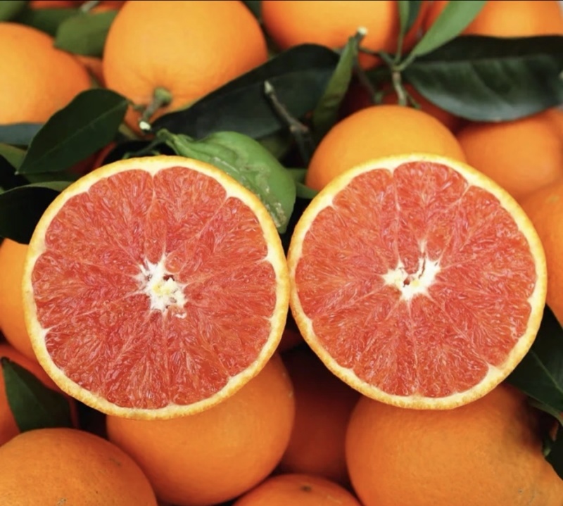 中华红血橙脐橙橙子🍊产地直发量大从优可对接全国