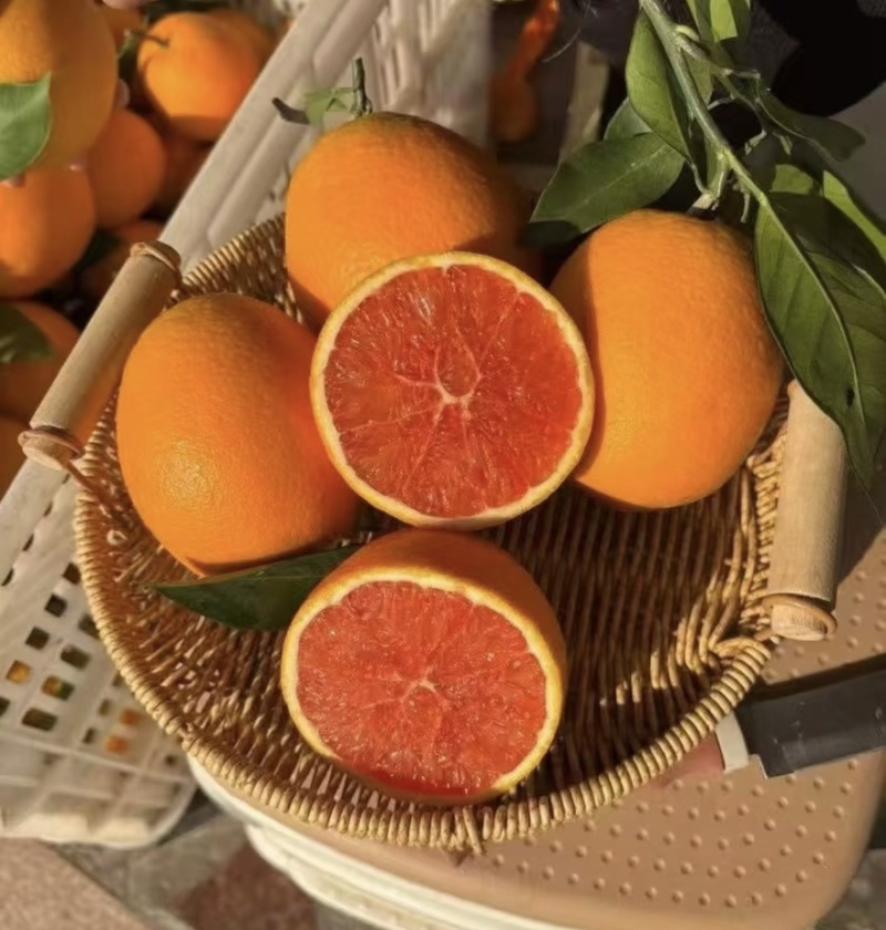 中华红血橙脐橙橙子🍊产地直发量大从优可对接全国