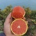 中华红血橙脐橙橙子🍊产地直发量大从优可对接全国