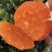 中华红血橙脐橙橙子🍊产地直发量大从优可对接全国