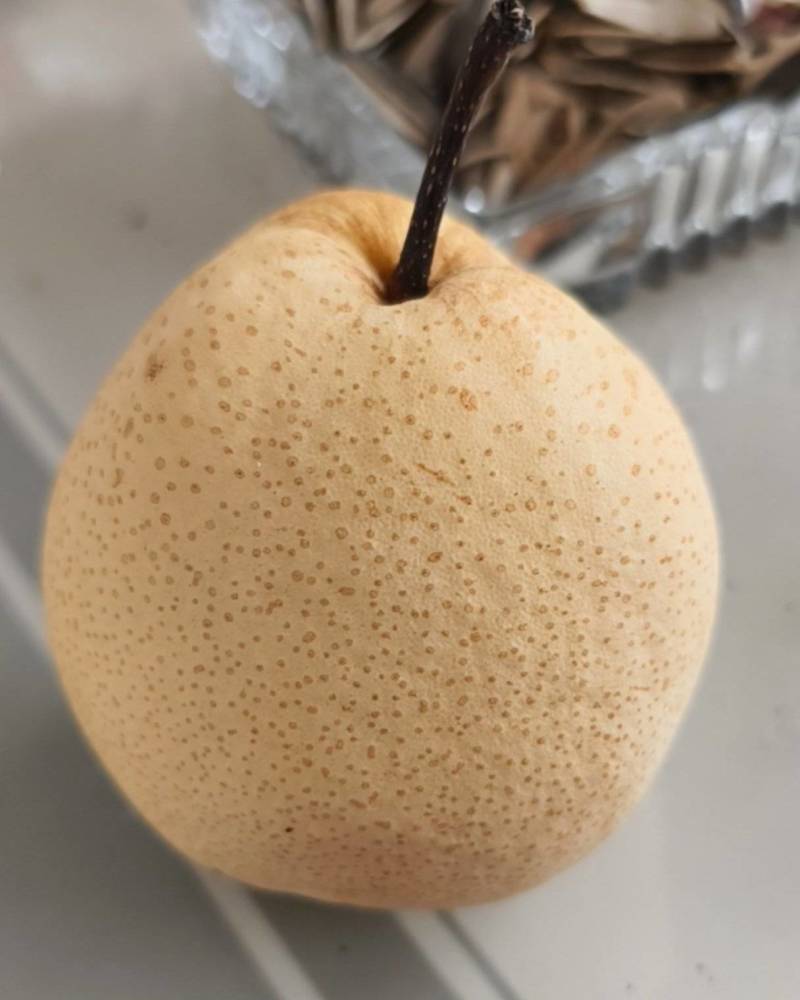 文水贡梨