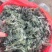 新鲜茵陈