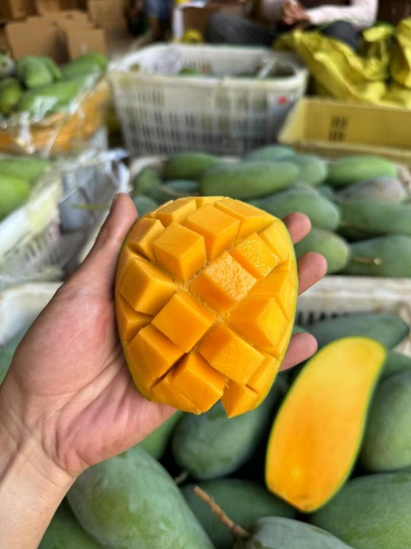 越南大青芒