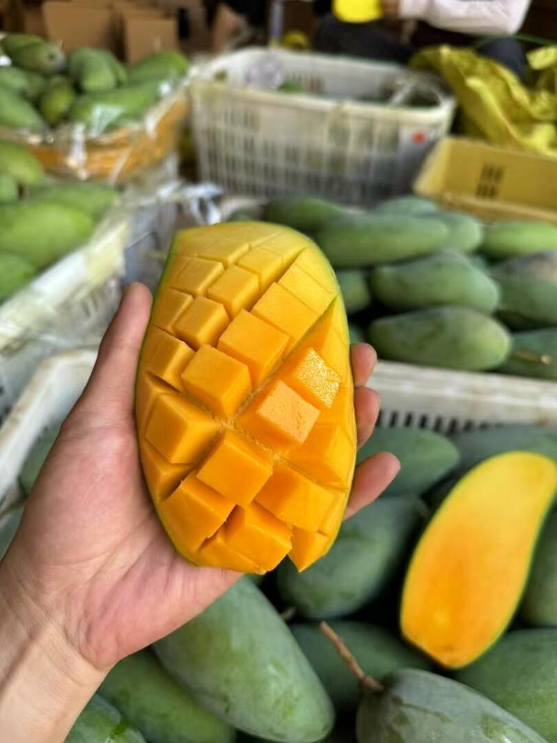 越南大青芒