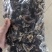 山东毛木耳地摊木耳，赶集供货白背毛木耳