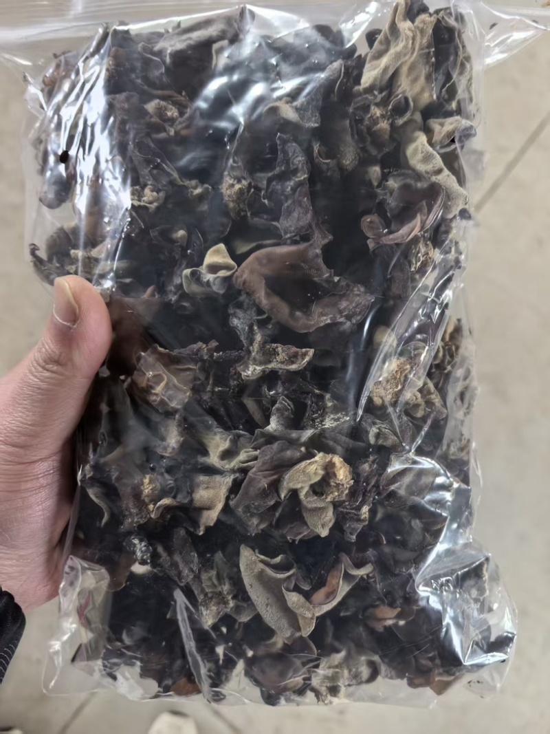 山东毛木耳地摊木耳，赶集供货白背毛木耳