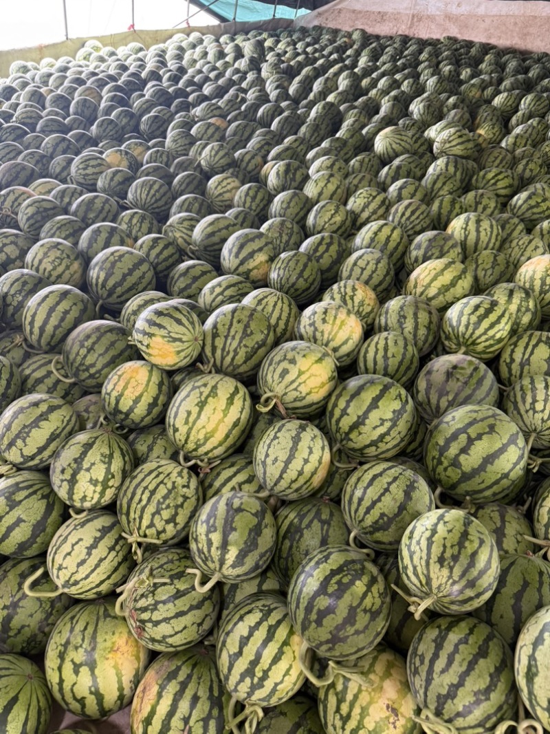 高次精品美都产地直发大量有货