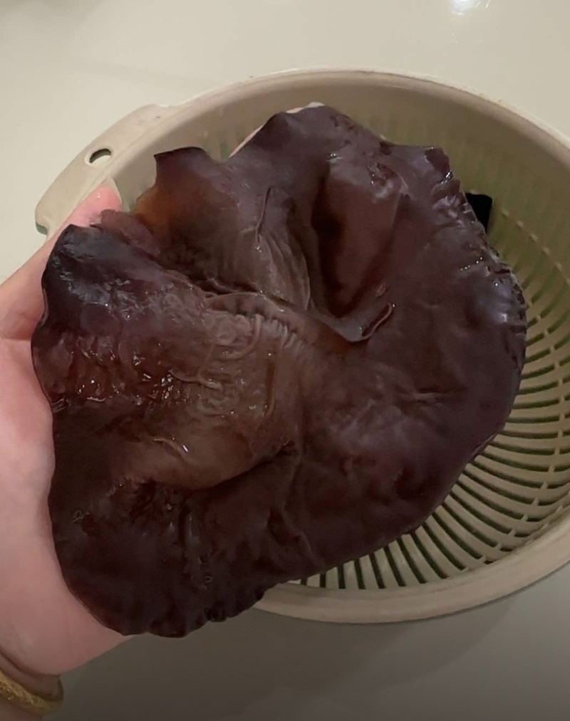 头茬白背毛木耳精品木耳供商超食品厂