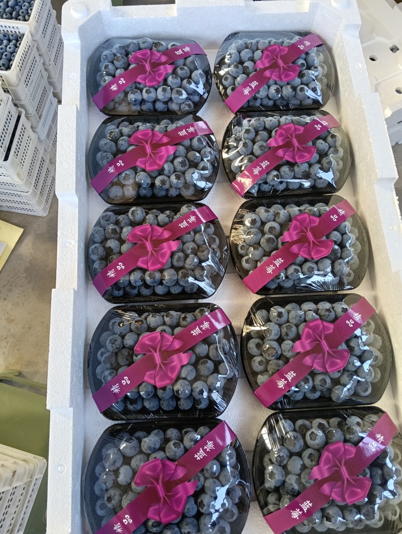 花香25，优瑞卡F6,L11T系列多个品种