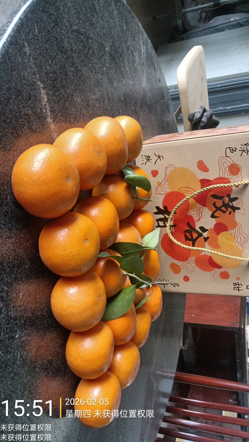 茂谷柑