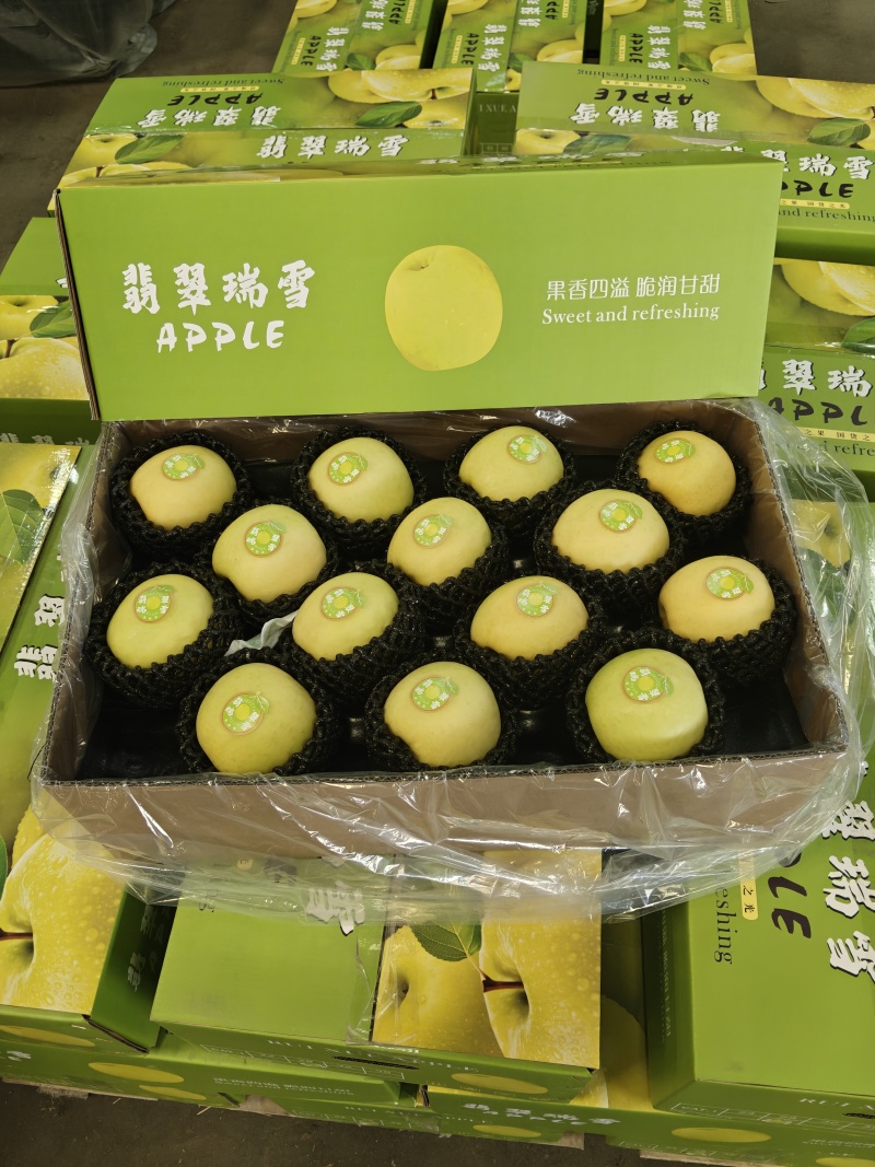 瑞雪苹果，精品货源，产地直发货源充足，欢迎各地老板来电
