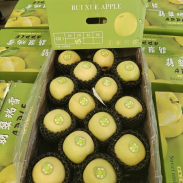 瑞雪苹果，精品货源，产地直发货源充足，欢迎各地老板来电