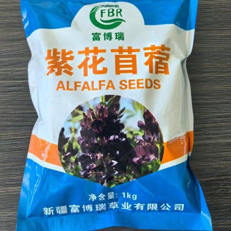各类规格紫花苜蓿种子