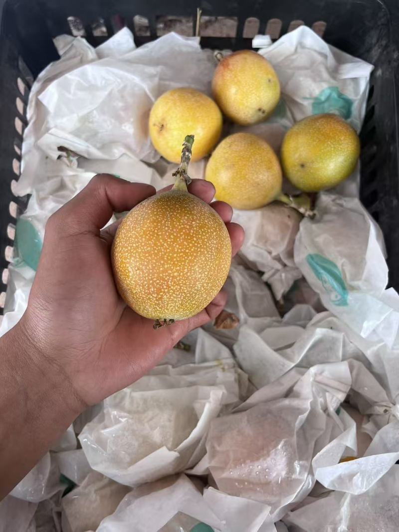 热情果