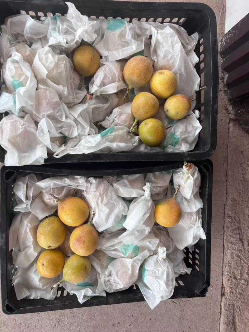热情果