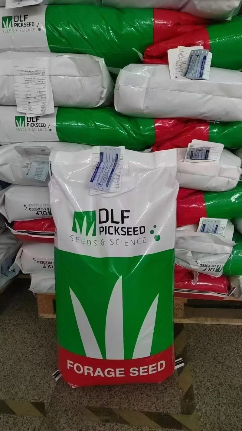各类规格紫花苜蓿种子