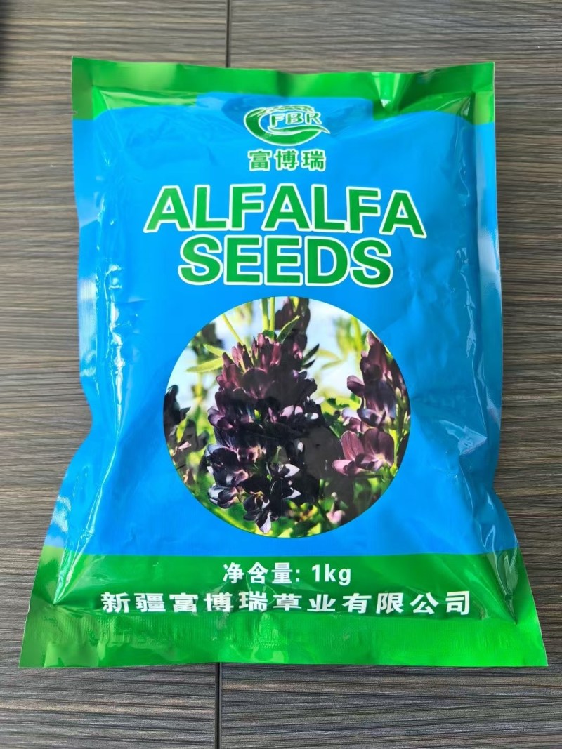 各类规格紫花苜蓿种子