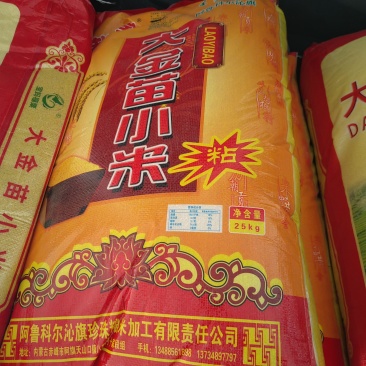 内蒙赤峰大金苗小米