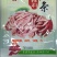 熟肚条，肚丝，猪肚条20斤