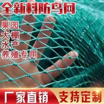防鸟网新料抗老化大棚通风口鱼塘樱桃天网养鸡围栏葡萄草莓防