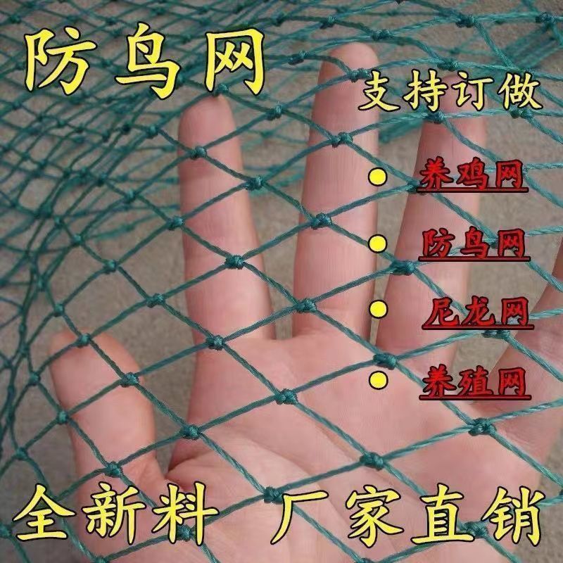 防鸟网新料抗老化大棚通风口鱼塘樱桃天网养鸡围栏葡萄草莓防