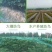 防鸟网新料抗老化大棚通风口鱼塘樱桃天网养鸡围栏葡萄草莓防