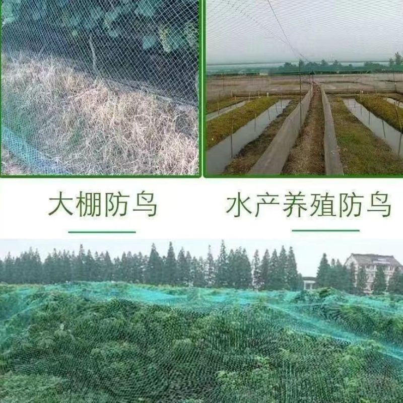 防鸟网新料抗老化大棚通风口鱼塘樱桃天网养鸡围栏葡萄草莓防