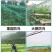 防鸟网新料抗老化大棚通风口鱼塘樱桃天网养鸡围栏葡萄草莓防