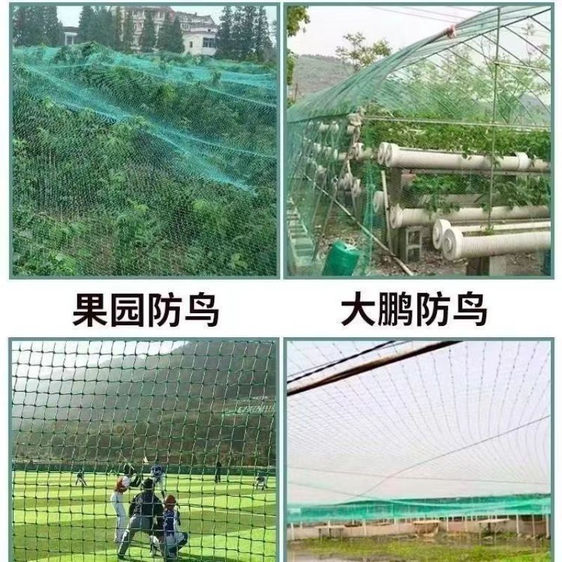 防鸟网新料抗老化大棚通风口鱼塘樱桃天网养鸡围栏葡萄草莓防