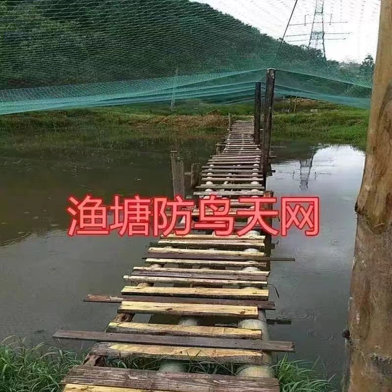 防鸟网新料抗老化大棚通风口鱼塘樱桃天网养鸡围栏葡萄草莓防