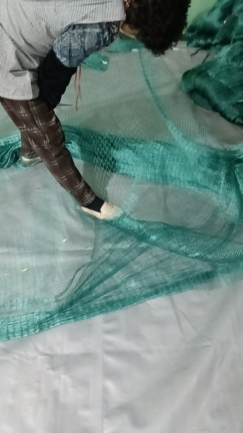 防鸟网新料抗老化大棚通风口鱼塘樱桃天网养鸡围栏葡萄草莓防