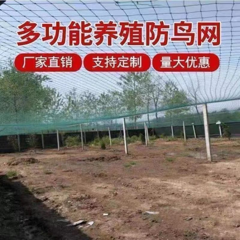 防鸟网新料抗老化大棚通风口鱼塘樱桃天网养鸡围栏葡萄草莓防