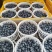 L25蓝莓大量上市基地直供品质优可视频看货热卖中
