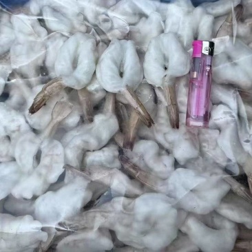 蝴蝶虾，