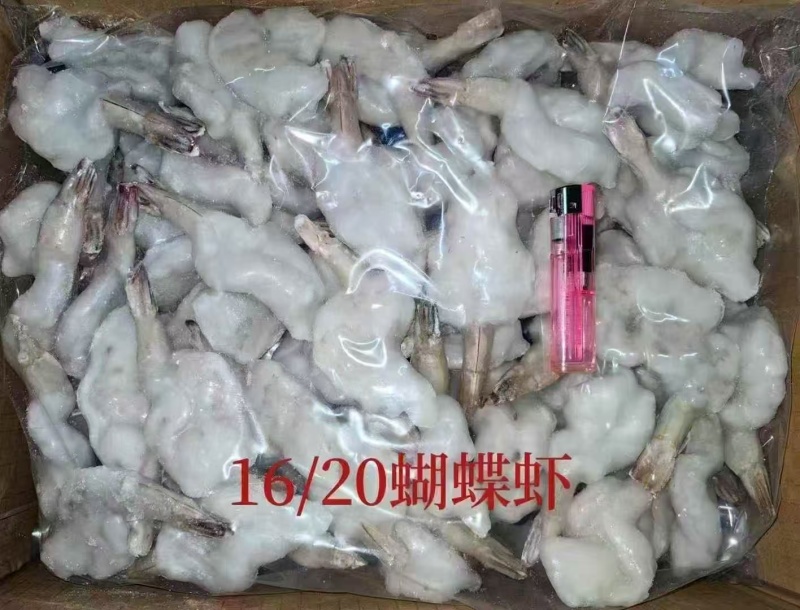 蝴蝶虾，