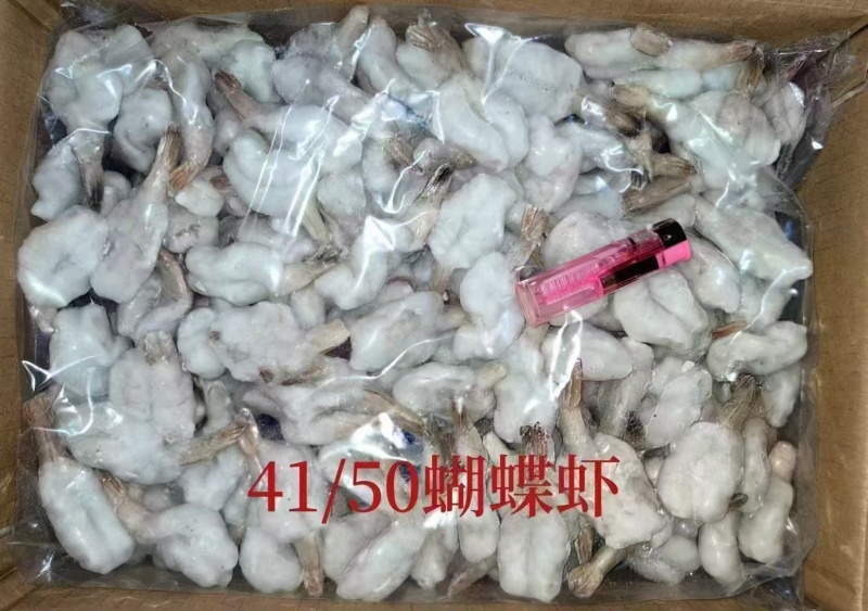 蝴蝶虾，