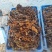 十堰市纯野生回春草