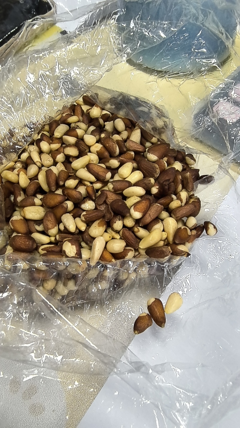 朝鲜松子仁
