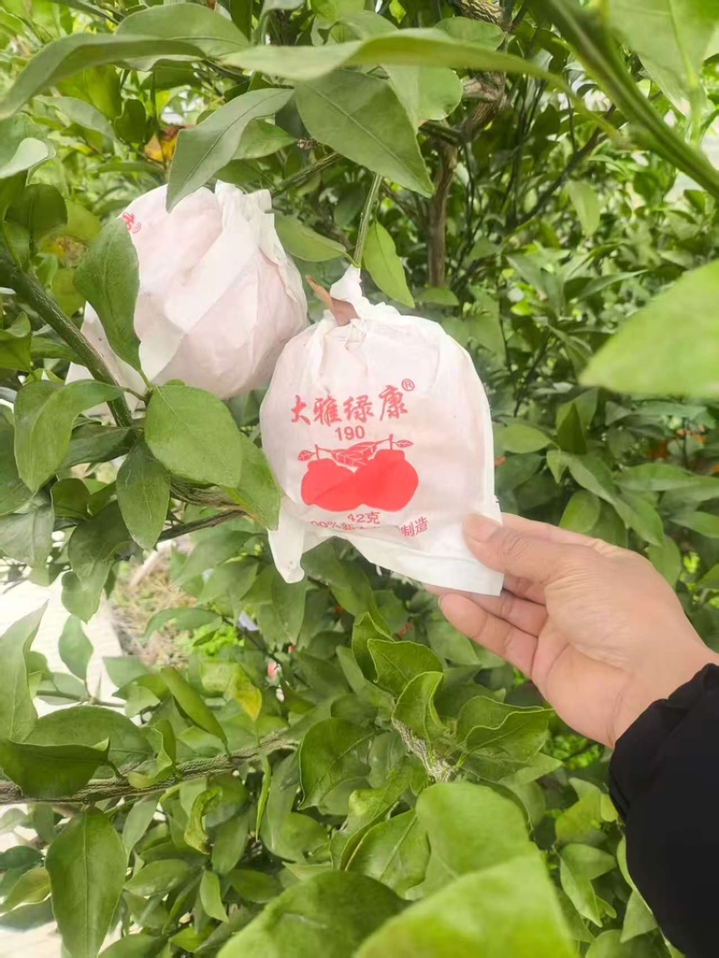 南充耙耙柑，产地直发，大量有货，欢迎各位老板咨询采购