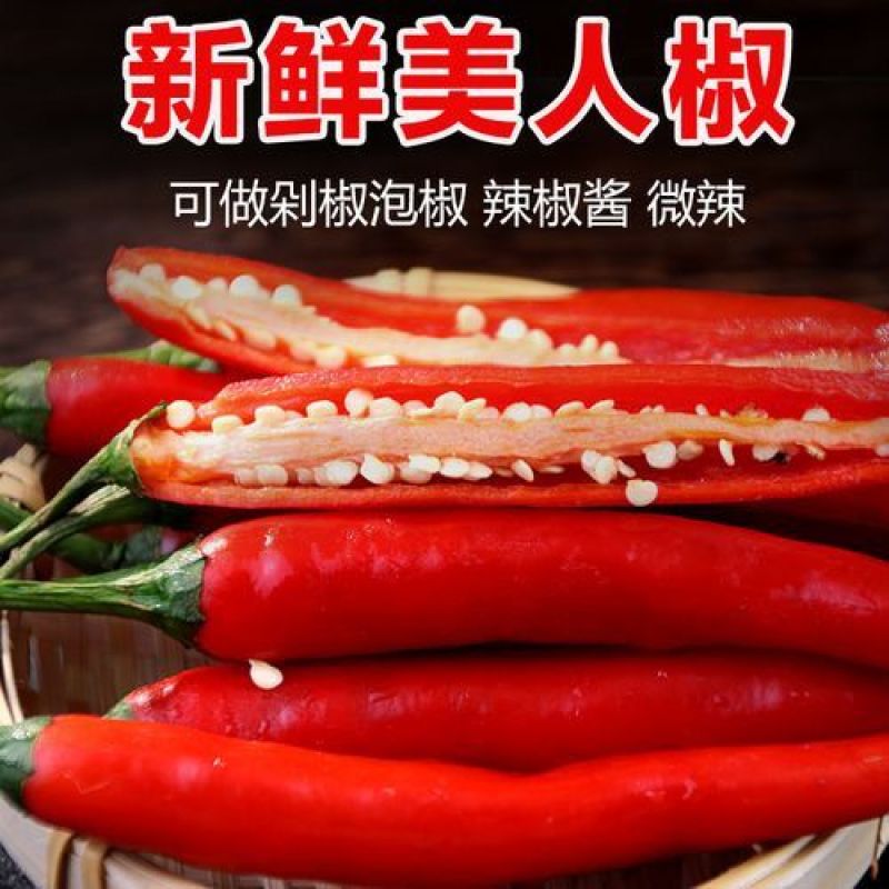 海花红美人椒10-15ccm硬皮地头价，要整车留言我