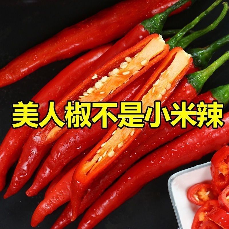 海花红美人椒10-15ccm硬皮地头价，要整车留言我