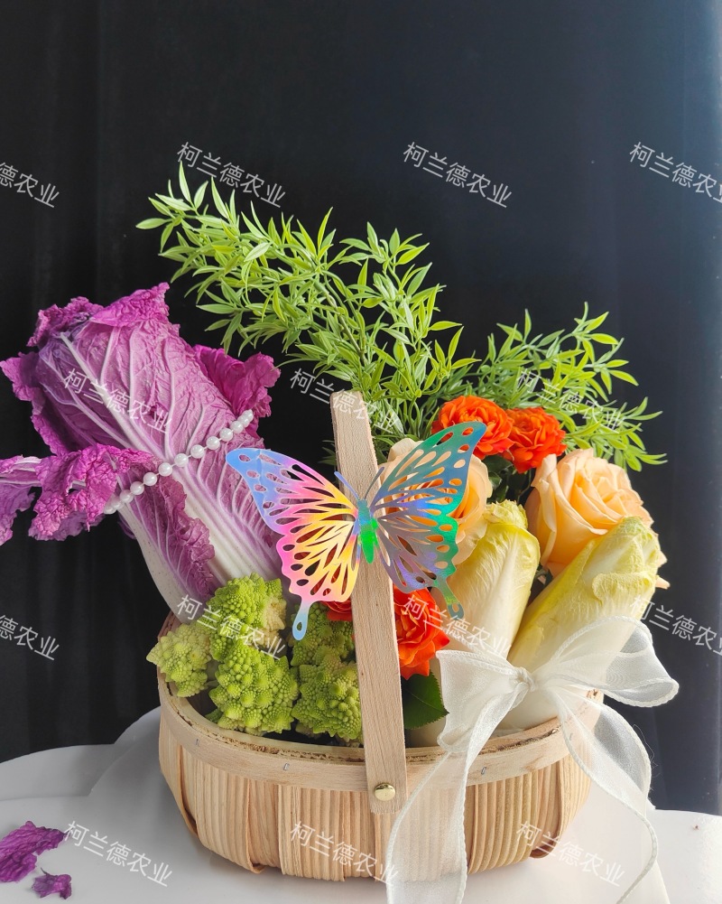 紫白菜